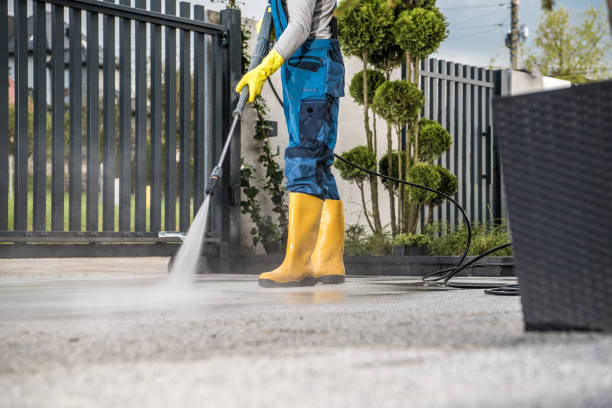 Best Commercial Building Pressure Washing  in Lapeer, MI