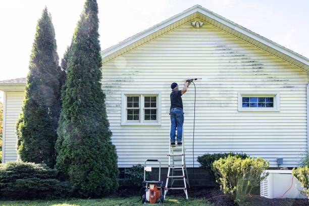 Best Fence Pressure Washing  in Lapeer, MI